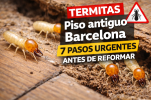 termitas piso antiguo Barcelona en vivienda antigua